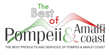 The best of Pompeii and Amalfi Coast Logo