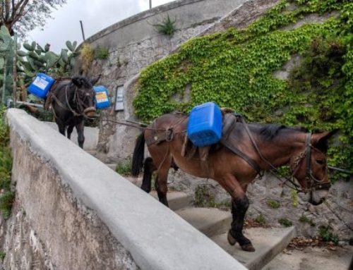 Ad Amalfi il folklore batte la modernità: la sanificazione si fa con i ciucciarielli